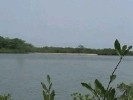 View from Sitanunku over to Dog Island