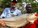 Captain Bala Moses & Stan Nabozny with Tigerfish from The Gambia River