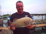 Thick-lipped Grouper - Pete Baynham