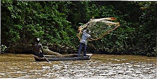 Cast Net Fisherman Gambia River